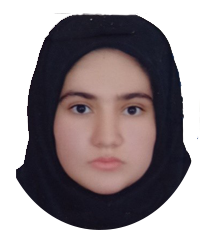 مریم رئیسی سربیژن